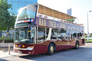 Traitement punaises de lit Tours