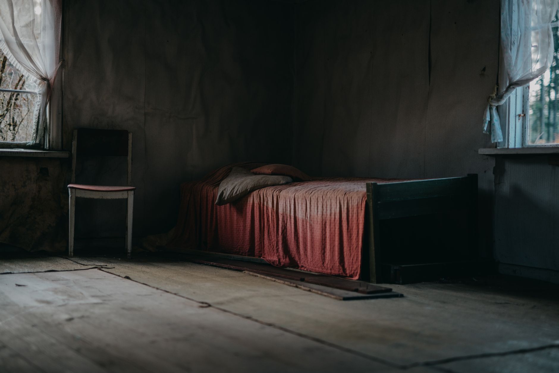 Traitement punaises de lit à Tours